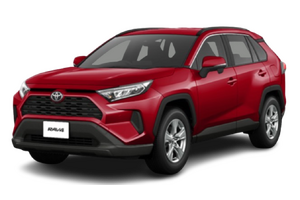 RAV4X