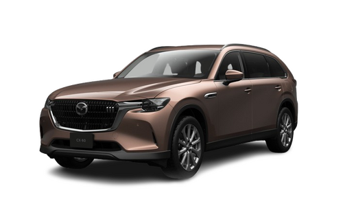CX80XDLpackage